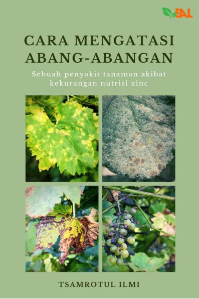 Sampul buku Cara Mengatasi Abang...